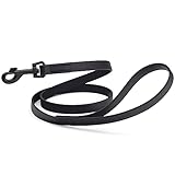Dogline Biothane Waterproof Dog Leash Strong Coated Nylon Webbing with Black Hardware Odor-Proof for