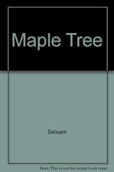 Maple Tree