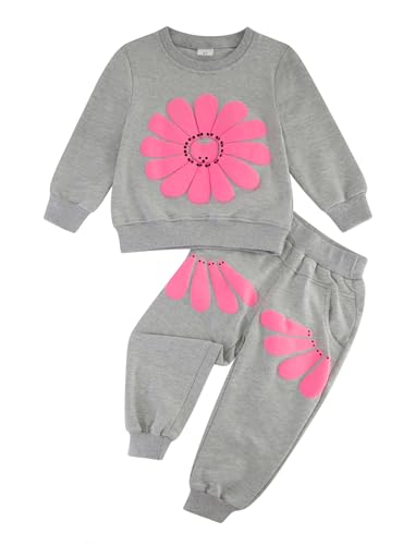 Image of Toddler Baby Boy Girl Clothes with Pockets 2PC Long Sleeve Pullover Sweatshirt and Pants Infant Fall Winter Outfit