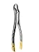Dental Extracting Extraction Forceps 88L Used to Extract Upper Left 1st and 2nd Molars from The Alveolar Bone Universal Premium Quality Gold Handle, Stainless Steel