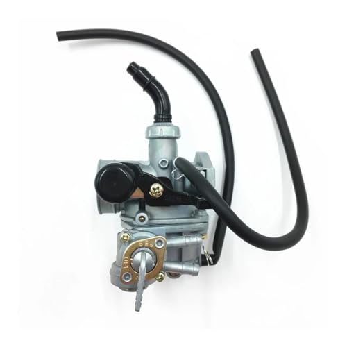 Carburateur PZ19 double carburant de 19 mm avec robinet de purge et starter manuel