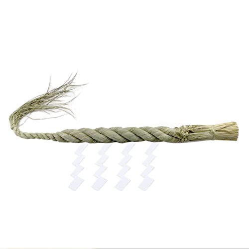 RꏤX  ߓ 3 ^ t K-42316