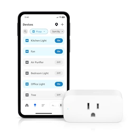 Amazon Smart Plug | Works with Alexa | Simple setup, endless possibilities