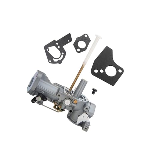 Carburateur moteur 5HP pour résoudre les pannes de démarrage et fuites d'essence 692784