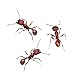 Insect Lore 100 Native Western Harvester Ants - Grown in The USA - Ant Habitat Refill - Includes Wildflower Seeds