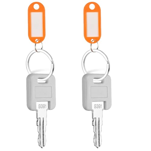 Image of 2-Pack G391 RV Keys - Camper & RV Replacement - Universal Keys for Trailer, Storage Locks - Globally Link Standard Door Lock Compatible