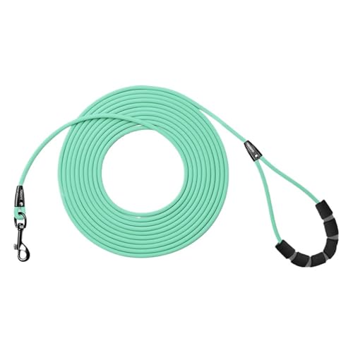 Dog Leash Close-up View
