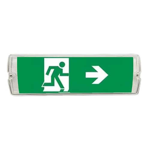 Panneau de sortie LED 35cm : indicateur d'évacuation d'incendie