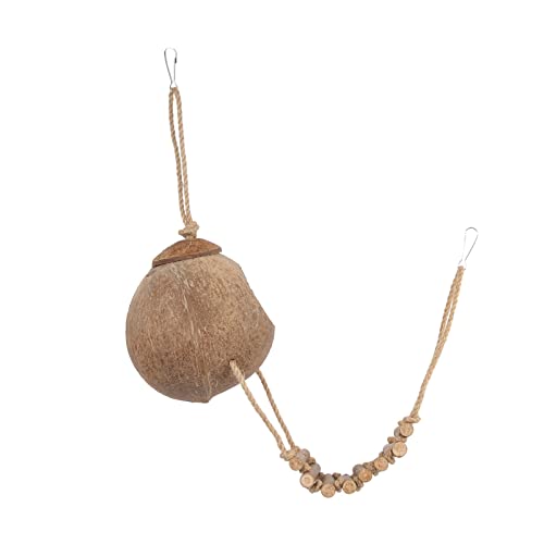 POPETPOP Terrarier Reptilgrotta Crested Gecko Tank Tillbeh?r Kokosn?tter Shelter Stege Naturlig ?dla Skal G?mst? L?genhet F?r Reptiler H?llbar Grotta Livsmilj? Sköldpaddans Livsmiljö