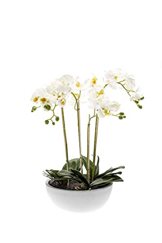 Artplants Orquídea phalaenopsis Artificial Mina en Maceta cerámico, Blanco, 60cm - Orquídea Falsa/Flor de plástico