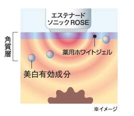 Amazon | エステナード ESTENAD 薬用ホワイトジェル 70g 4本セット