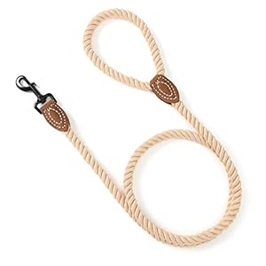 Mile high life dog leash | braided cotton rope dog leashes with leather tailor tip | 4 feet dog leash w heavy duty metal clasp | wedding dog leash light brown 48 inches   cucciolini doodles