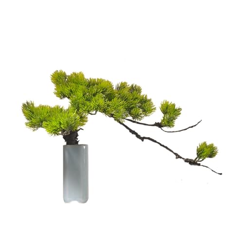 Décoration zen de table originale pour offrir un cadeau de crémaillère
