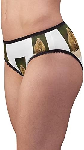Prairie Dog Panties, Prairie Dog Underwear, Briefs, Cotton Briefs, Funny Underwear, Panties For Women