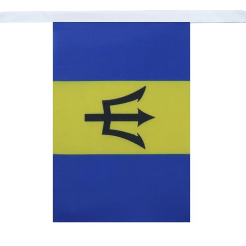 Image of AZ FLAG Barbados 6 meters BUNTING Flag 20 flags 9'' x 6'' - Barbadian STRING flags 15 x 21 cm