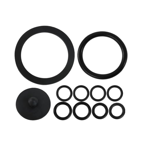 LABLT Stainless Steel Sprayer with Pressure Gauge, Safety Valve, Stainless Steel Hand Pump Sprayer, Stainless Steel Tank Multi-Purpose Sprayer for Spraying in Home//Gardening (1 Gallon)