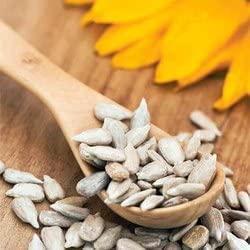 Image of NatureGarden Raw Sunflower Seeds 250g Pack | High Protein Fiber Vitamin E Magnesium | Healthy Snack | Diet Food | Antioxidant-Rich | Low Calorie Vegan Gluten-Free | Seeds for Eating Planting Birds