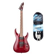 Colour: See T hru Black Cherry, Fretboard Radius: 350 mm, Scale: 648 mm/25.5 inches, body: mahogany, Maple Neck, Frets: 24XJ Extra Jumbo, Bridge: TOM, Bridge Pickup: ESP Designed LH-150B, Neck Pickup: ESP Designed LH-150N, Neck Shape: Thin-U + Keepdr...