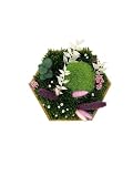 Gedankenwunder Manufaktur Moosbild Blumenwald Design Blumen Auswahl Hexagon