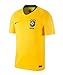 Nike 2018-2019 Brazil Home Football Soccer T-Shirt Jersey