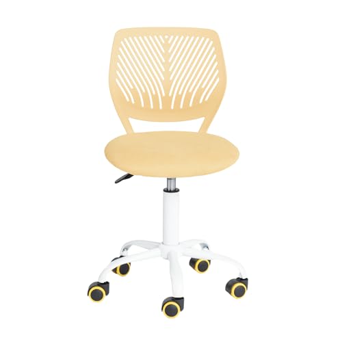 FurnitureR Silla de Gaming para niños, Silla de Oficina, Silla Gamer, Silla de Escritorio, diseño Moderno ergonómico, sin...