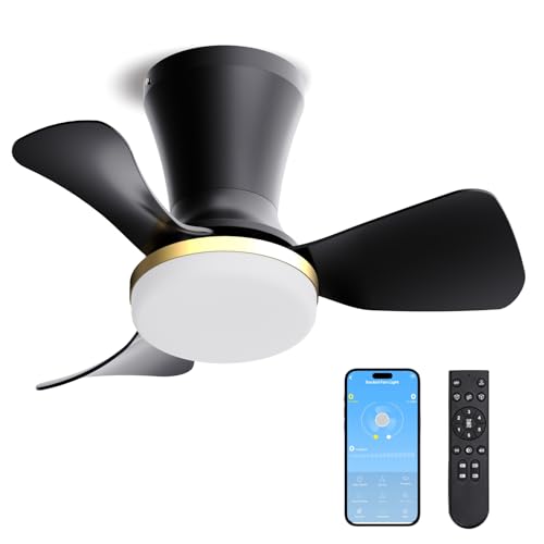 Image of LANMEL 22 Inch Flush Mount Ceiling Fan with Light and Remote, Low Profile Modern Ceiling Fan, 6 Speed, Reversible, 3000k-6500k Dimmable LED, Quiet DC Motor for Indoor Outdoor, Black Gold