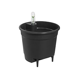 Elho Self-watering Insert 17 – Watermeter voor Bloempot – Ø 17.0 x H 15.8 cm – Living Black