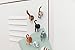 Kikkerland Magnetic Funny Cat Butt Refrigerator Decorative Magnets, Set of 6, Novelty Gift, Cat Lovers