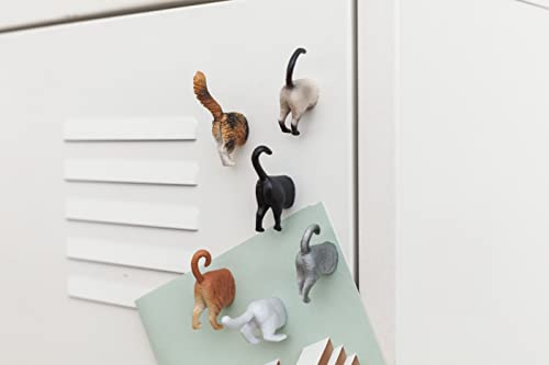 Imanes Decorativos de Refrigerador Divertidos Gatos Set 6 miniatura 3