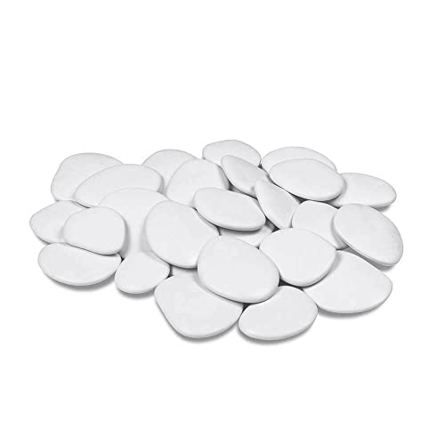 Die 16 besten Kunststoff Aquarien Haustierratgeber Ratgeber