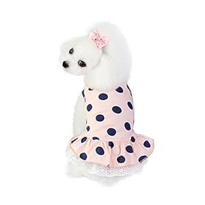 Barrageon Hunde Kleid Süß Prinzessin Rock Kleidung Welpe Katze Für Kleine Haustier Mittelgroße Sommerkleidung Bowknot Hundekatze (Schwarz-S)