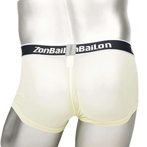 Men's Boxer Underwear See Through Boxer Briefs Sexy Soft Male Low Rise Breathable Trunk Underwears Short Pack4