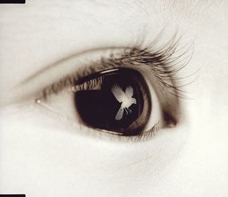 【R&B】Jewel Amazon.co.jp: Jewel (CCCD): ミュージック