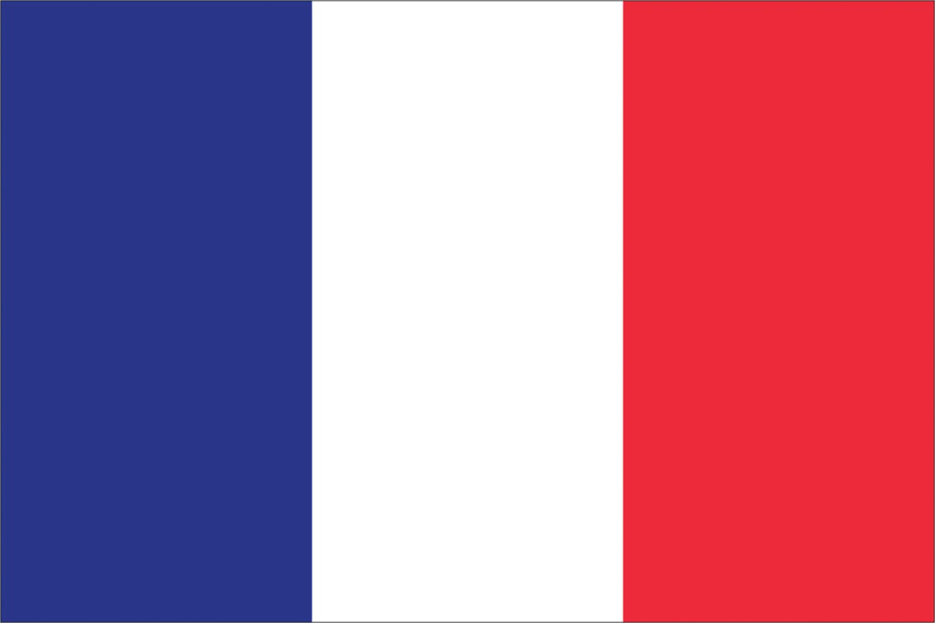 3x5 Feet 276 International Global World Country Flags (FRANCE)