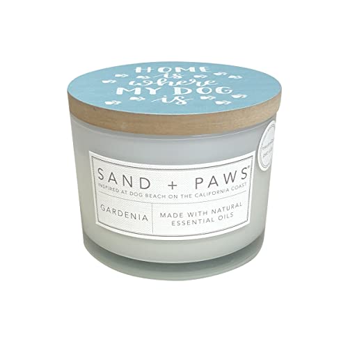 10 Best Candles For Dog Odor