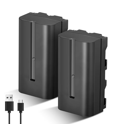 Soonpho 2-Pack Akku NP-F550 Ersatzakku 2 Stück Battery für Sony NP-F970 F960 F950 F770 F750 F570 F550 Kompatibel Godox VILTROX Neewer Camcorder/Monitor/Kamera
