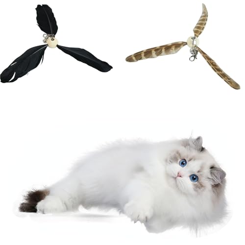 3 of Ni �L �������� �H �����p �L����炵 �˂�����炵 �l�C(�H�ѕ���) (Black*3&Colorful*3)