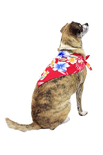 Image of Matchable Family Hawaiian Luau Men Women Girl Boy Clothes in Hibiscus Red