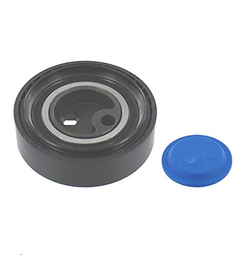 Kit Cinghie Poly-V SKF VKMA 31220