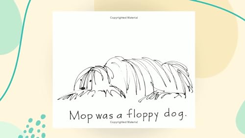 Bob Books Set 3- Word Families