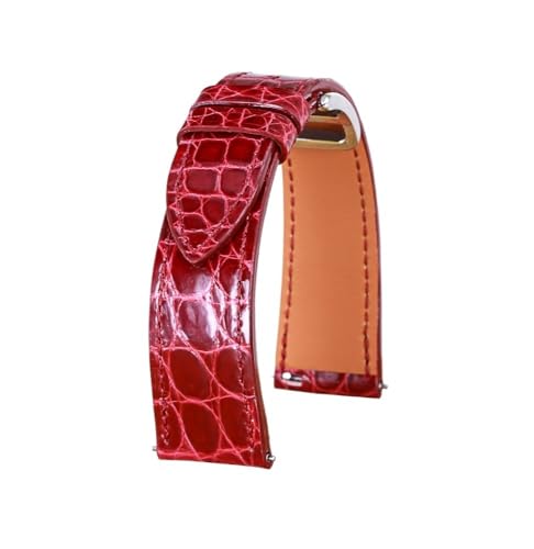 [X] U[ EhOCvoh Cbh ubN fB[X Xgbv Y fB[X(Red wine)