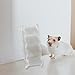Gralara Hamster Climbing Toy Acrylic Ladder Bridge,Transparent, Hamster Cage Climbing Ladder for Mouse Hamsters, S