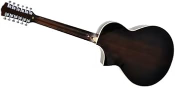 Amazon | PLAYTECH (プレイテック) 12弦アコースティックギター ミニ