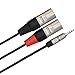Hosa HMX-006Y REAN 3.5 mm TRS to Dual XLR3M Pro Stereo Breakout Cable, 6 feet