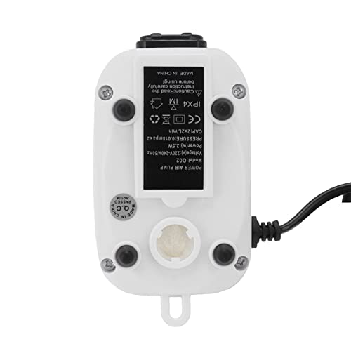 2.5W Pompa di Ossigeno, 2L/min Doppia Uscita