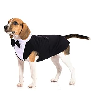 Dog Tuxedo Suit, Dog Clothes Coton Wedding Party Costume Puppy Formal Outfit Festival Shirt Coat Apparel with Detachable Bow Tie Bandana(Black, L)