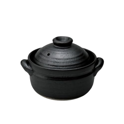 Banko Ware Donabe Clay Pot