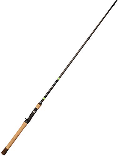 Loomis 12674-01 G E6X Jig & Worm Casting, E6X 893C JWR
