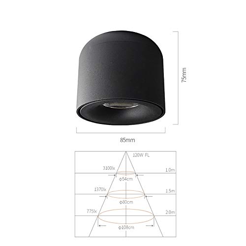 Mural Downlight COB en finition noire de haute qualité architecturale - 2