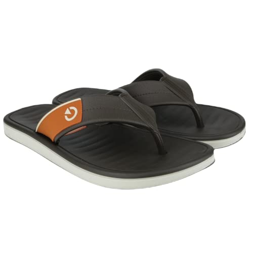 Chinelo Paris, Cartago, Masculino, Marrom, 40